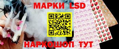 прущие грибы Краснознаменск