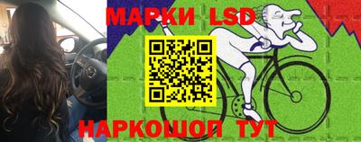 прущие грибы Краснознаменск