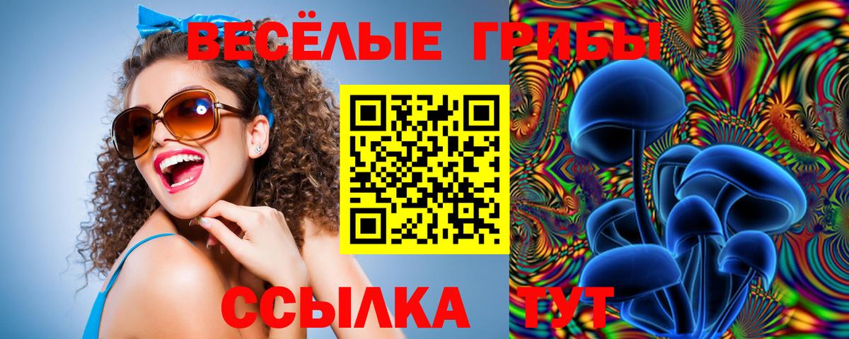 Псилоцибиновые грибы мухоморы Кимры