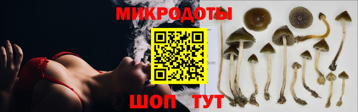 Псилоцибиновые грибы Cubensis  Вход с VPN  Кимры  Галлюциногенные грибы Psilocybine cubensis 