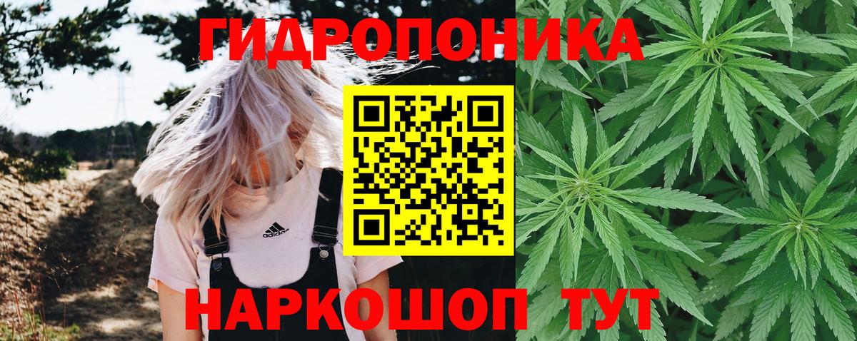 Каннабис Кимры